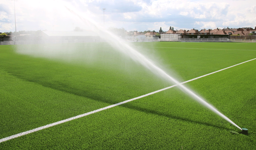 vertical garden Service in Chennai