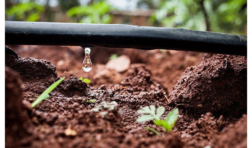 Drip irrigation service in Chennai