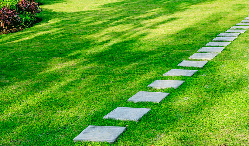 Landscape Service in Chennai