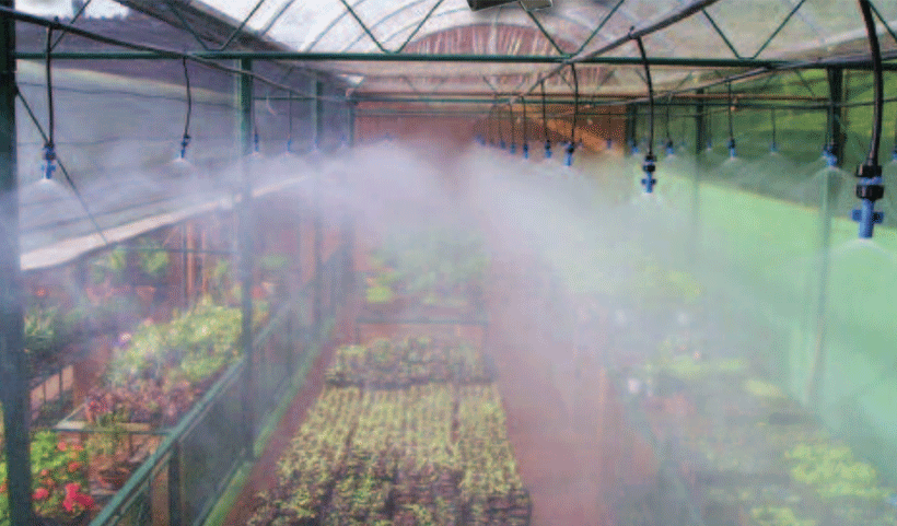 Mist and fogger Service in Chennai