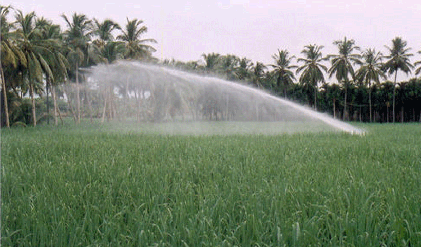 vertical garden Service in Chennai