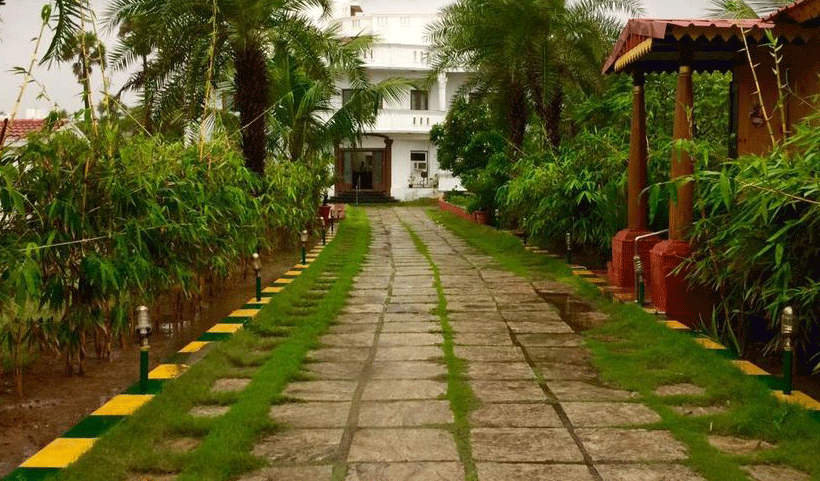 vertical garden Service in Chennai