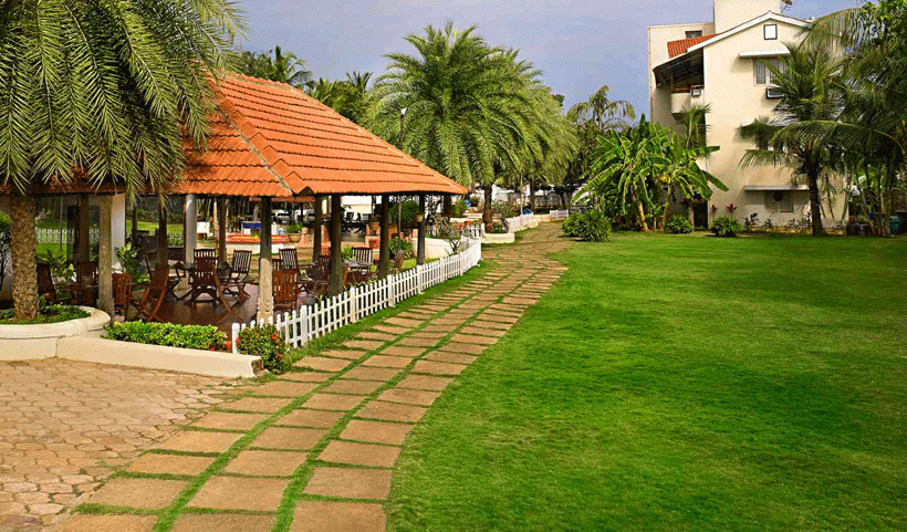 vertical garden Service in Chennai