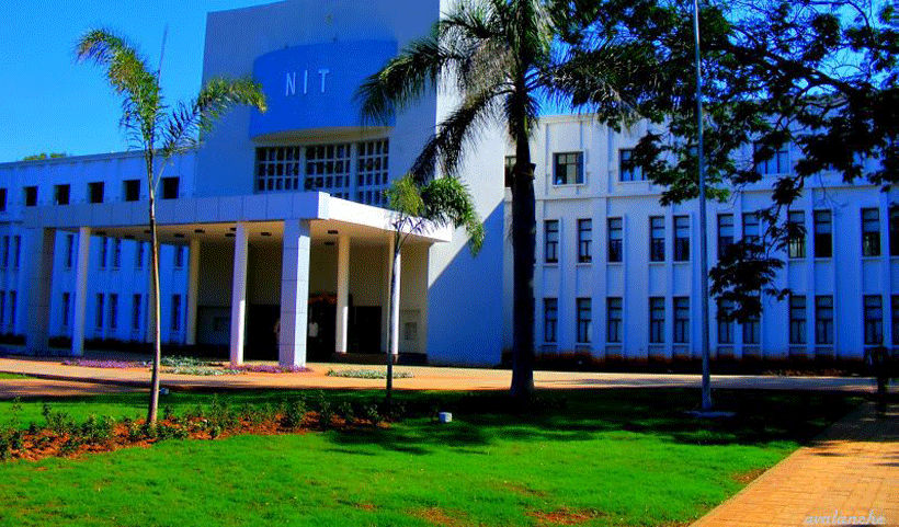 vertical garden Service in Chennai