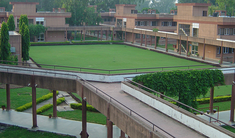 vertical garden Service in Chennai