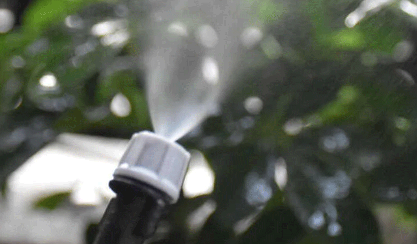 vertical garden Service in Chennai