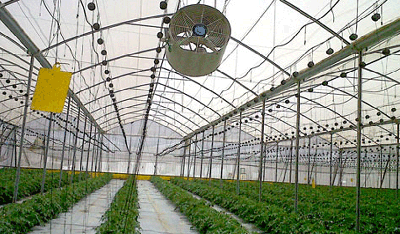 vertical garden Service in Chennai