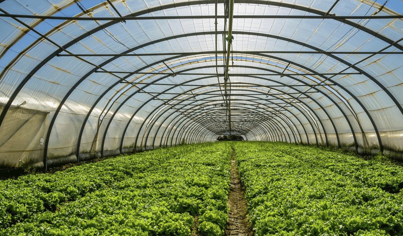 vertical garden Service in Chennai