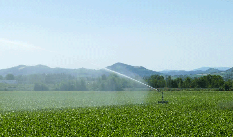 vertical garden Service in Chennai