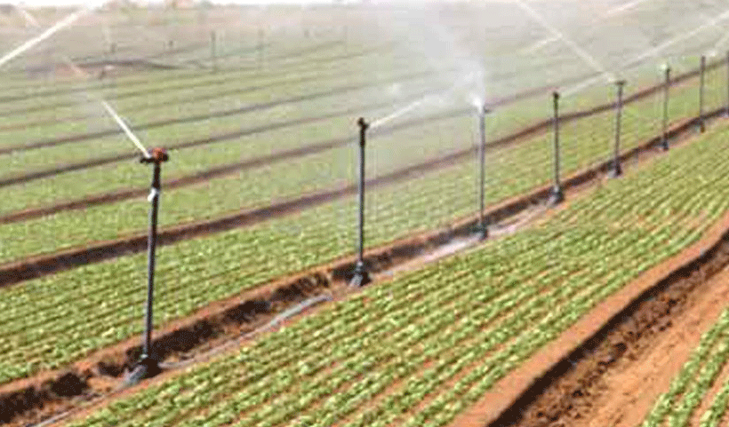 vertical garden Service in Chennai