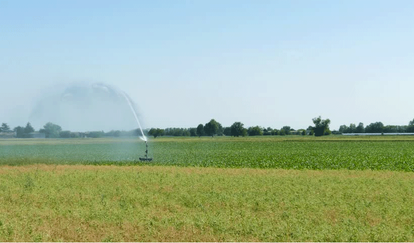 vertical garden Service in Chennai