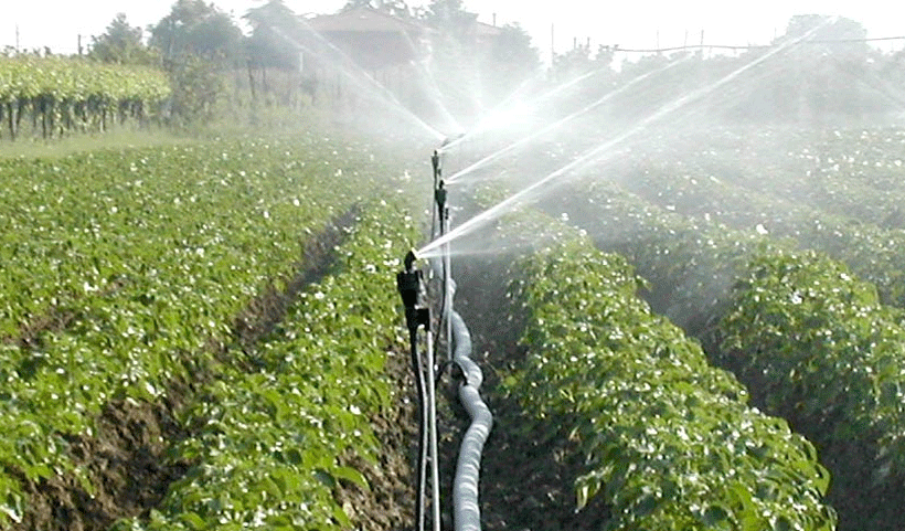 Sprinkler irrigation Service in Chennai