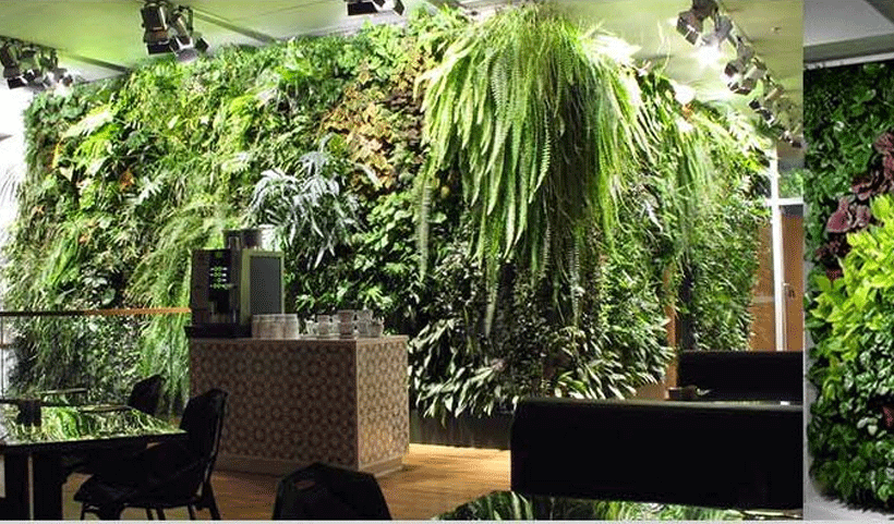 vertical garden Service in Chennai
